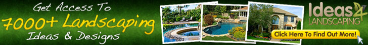 landscaping ideas 1